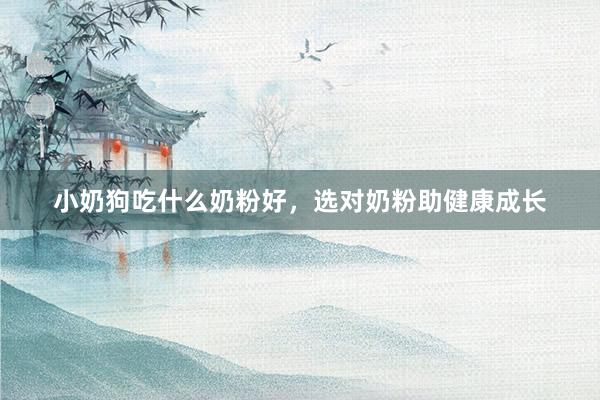 小奶狗吃什么奶粉好，选对奶粉助健康成长