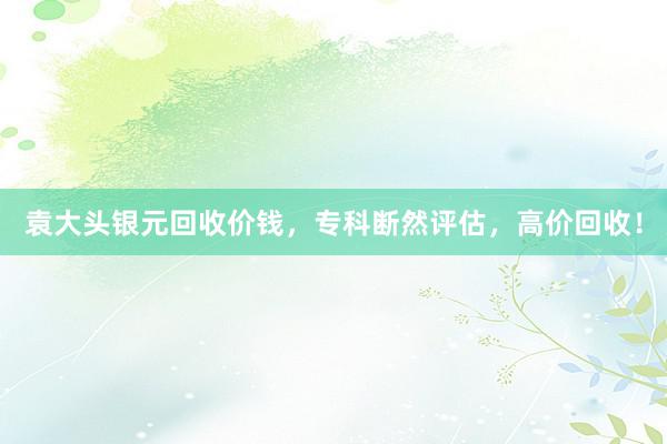袁大头银元回收价钱，专科断然评估，高价回收！
