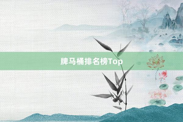 牌马桶排名榜Top