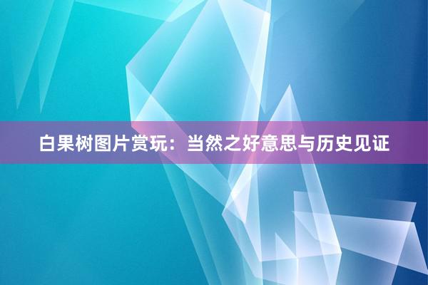 白果树图片赏玩：当然之好意思与历史见证