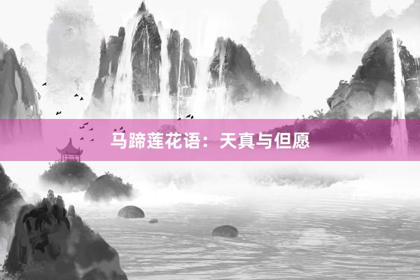 马蹄莲花语：天真与但愿
